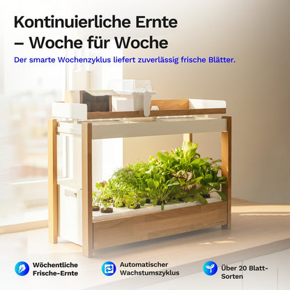 Click & grow 25 - Indoor Kräutergarten (Farbe: weiss)