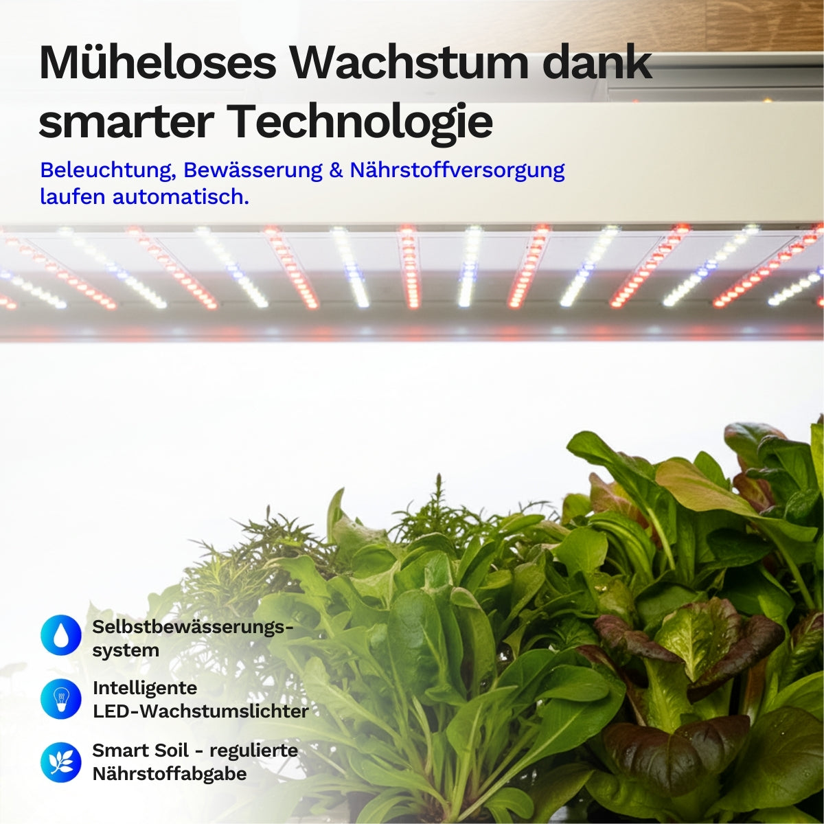 Click & grow 25 - Indoor Kräutergarten (Farbe: weiss)