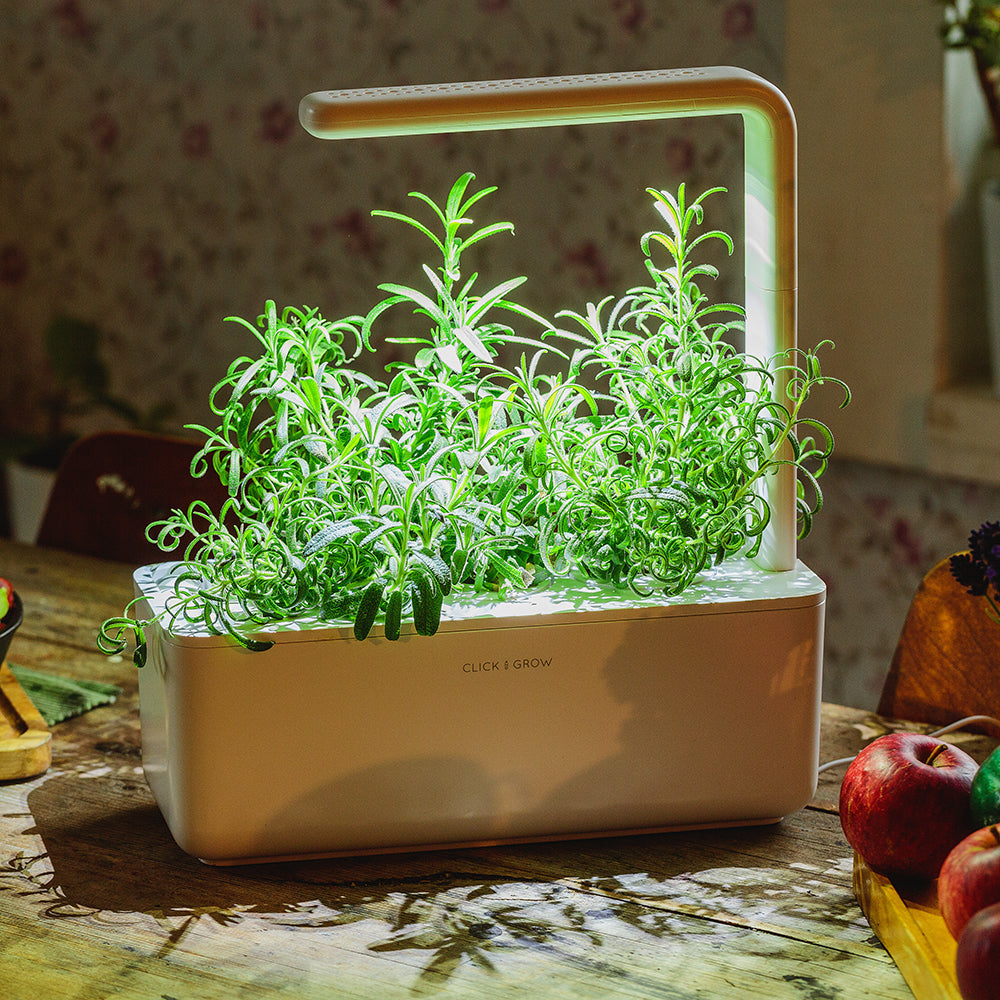 Click & grow Smart Garden 3 Indoor Kräutergarten Szene Küchentisch